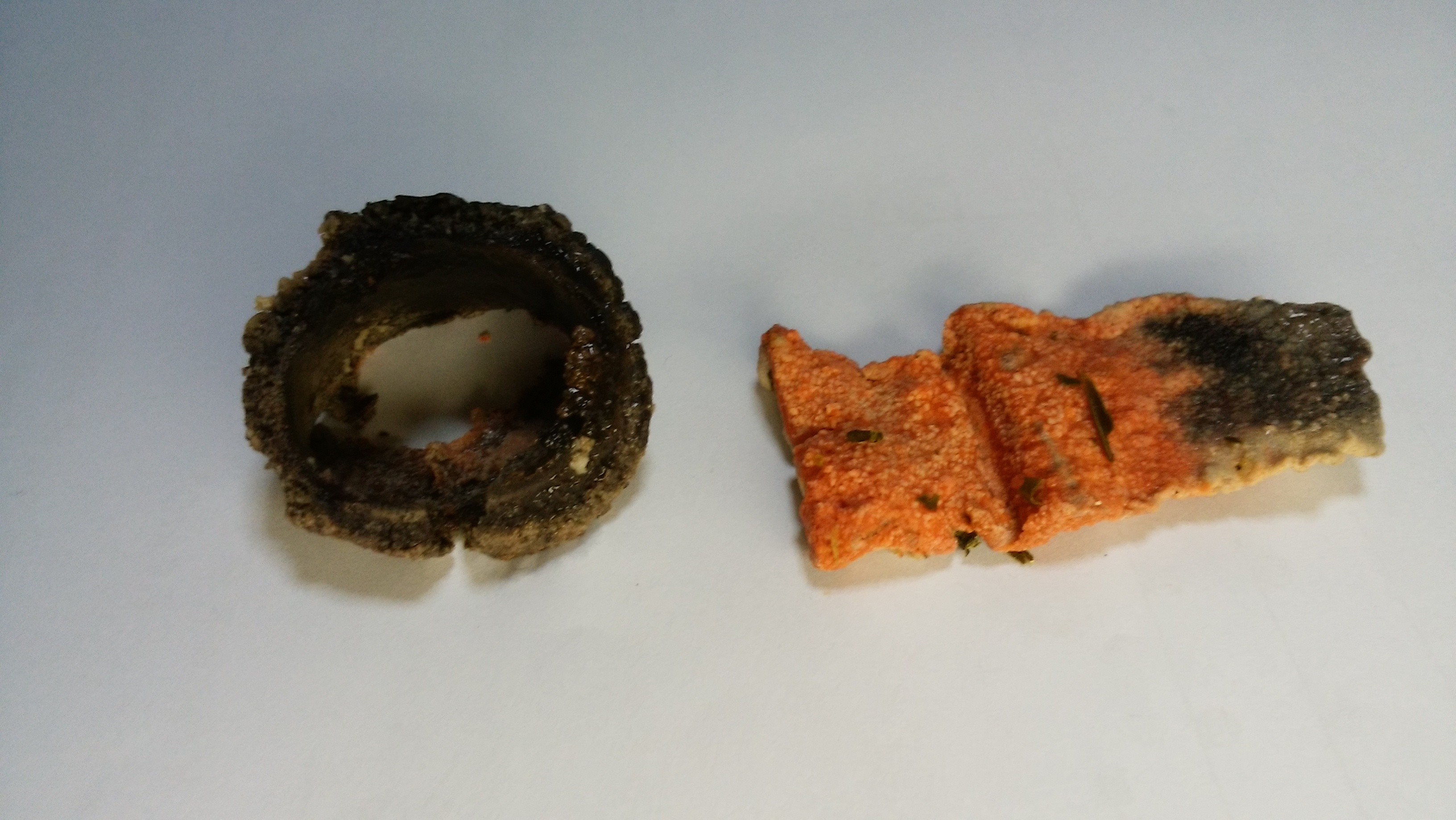 ��܃J�X�̎ʐ^