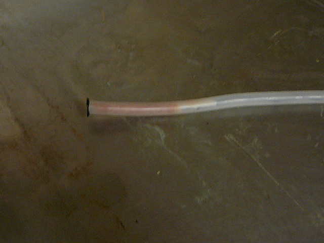 �p�C�v�̃S�~�̎ʐ^