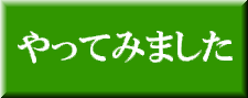 やってみました